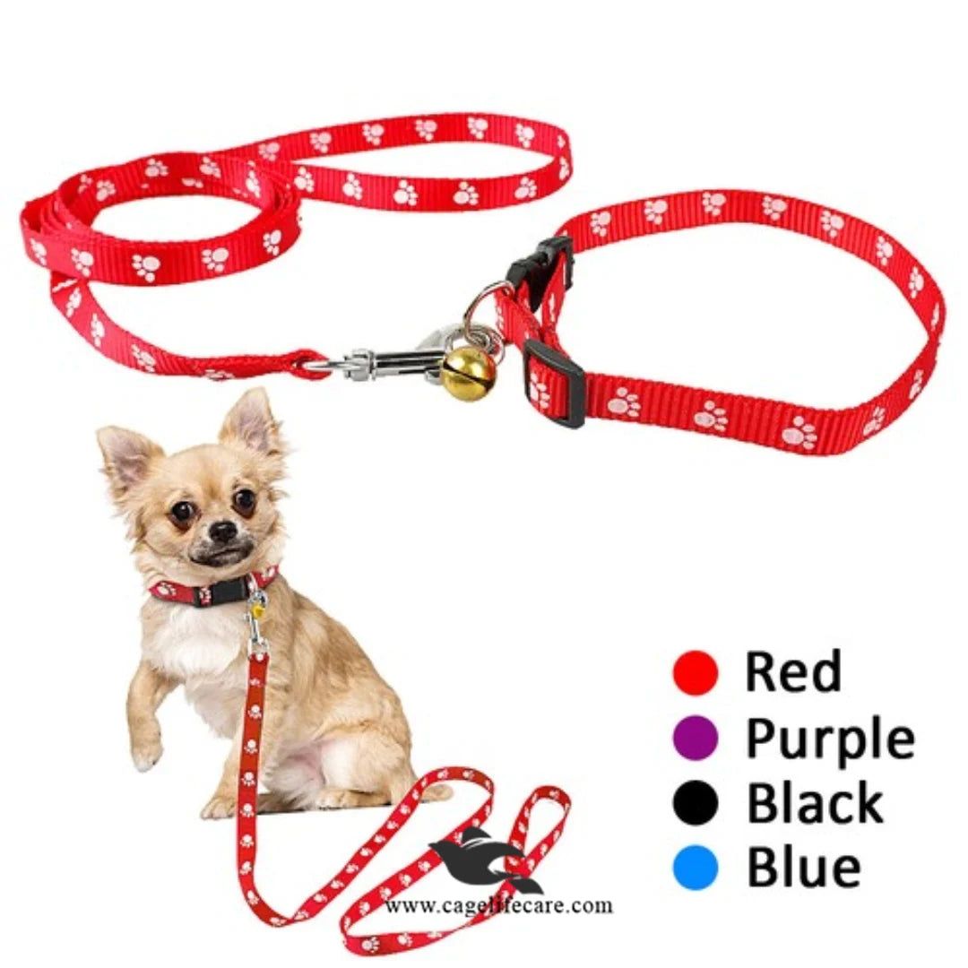 Leash with Flower Collar For Cats and Puppies