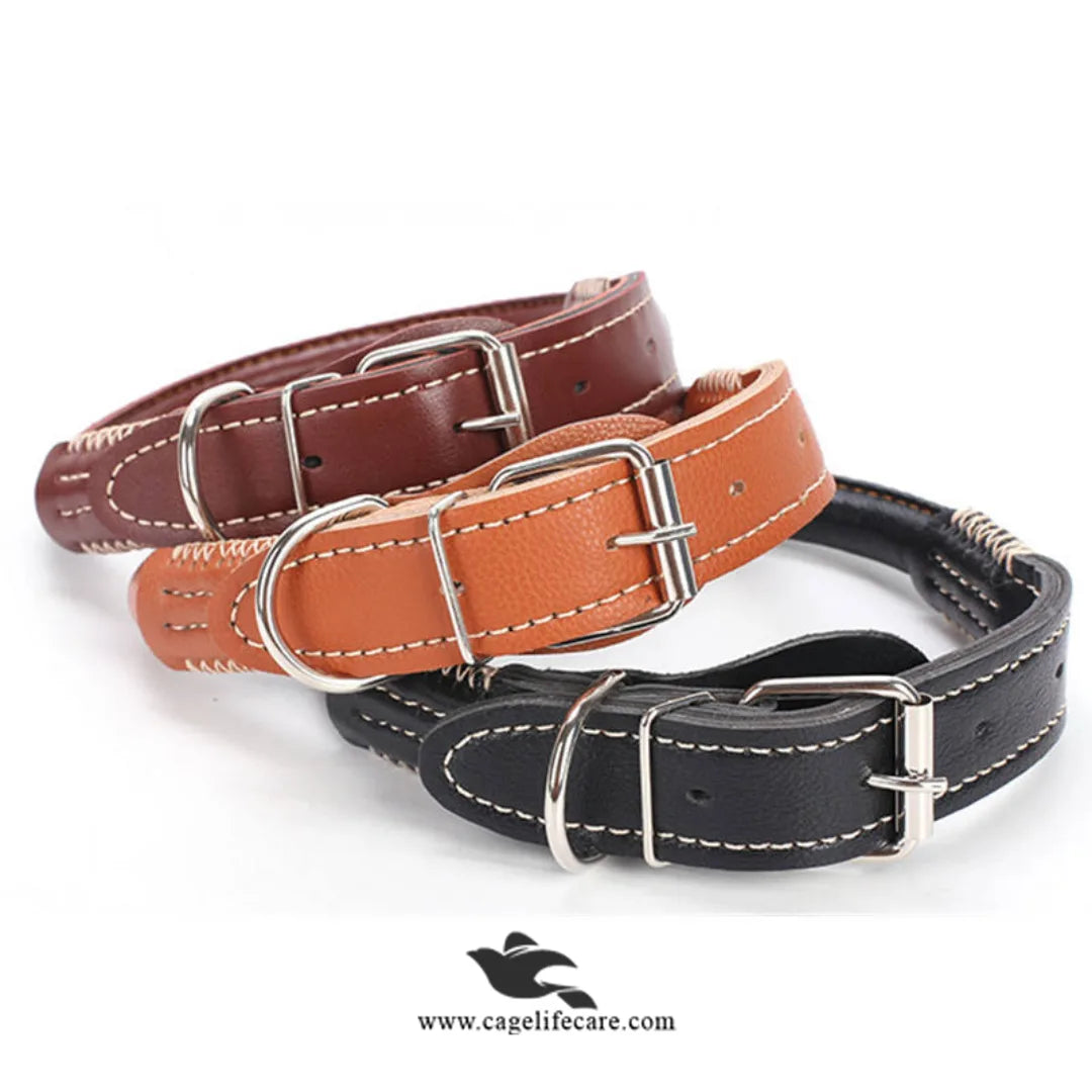 Leather Dog Collar with Double D Center – Hi-Quality