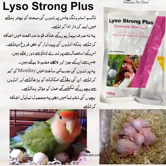 Bird immunity and fertility supplement with biotin