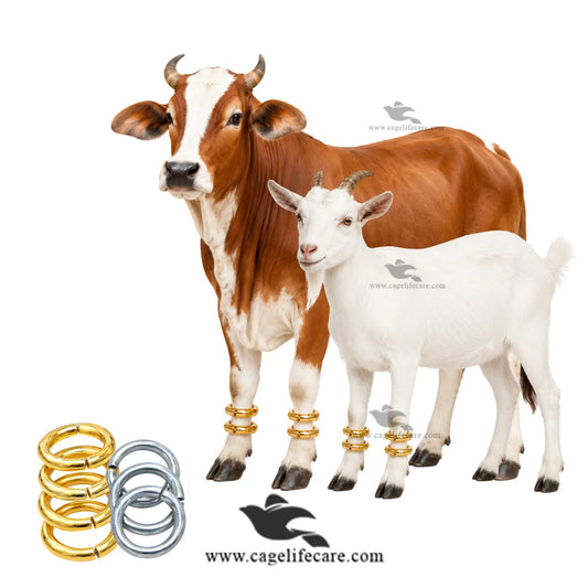 Livestock Animal Leg Payal & Anklet – Silver & Golden Animal Leg Bracelet