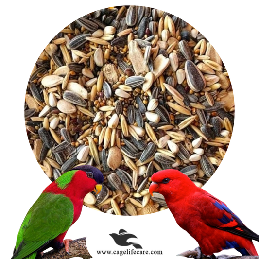 Lories Seed Mix
