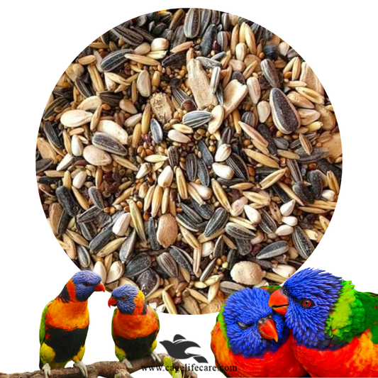 Lorikeets Seed Mix