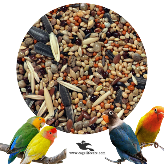 Lovebirds & Fishers Seeds Mix