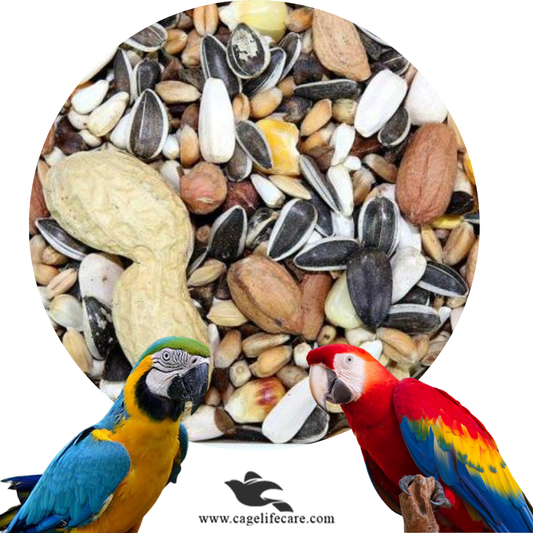 Macaw Parrot Seed Mix