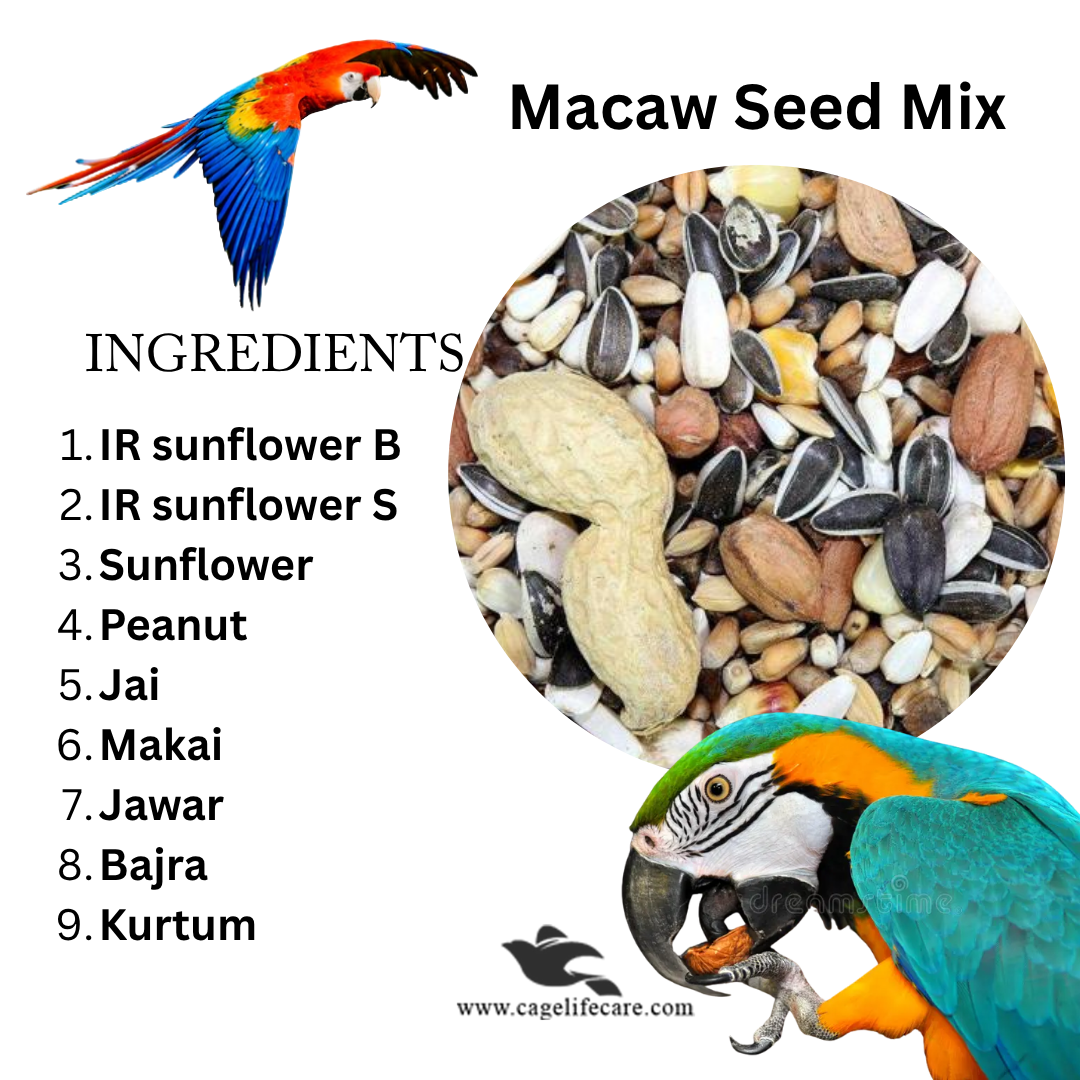 Macaw Parrot Seed Mix Ingredients