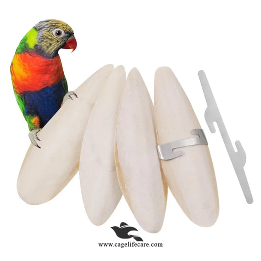 Medium Cuttlefish Bone – Natural Calcium Source for Birds