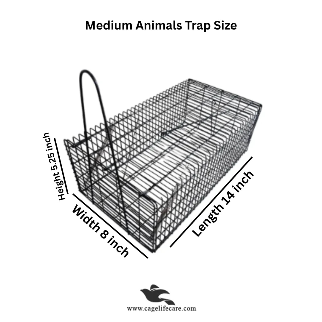 Medium Iron Trap Cage for Animals Size