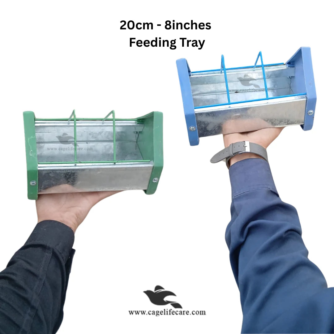 Metal Poultry Feeding Tray with Plastic Borders For Poultry & Piegons 20cm 8inches