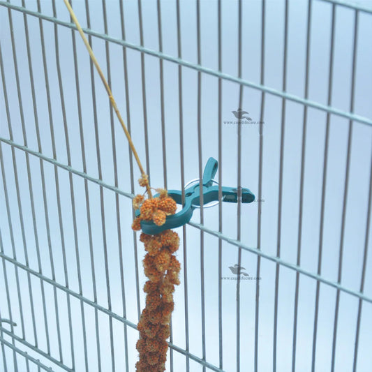 Millet Spray Holder for all type of Birds (Italy)