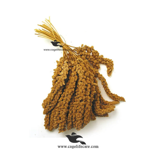 Millet Spray Seeds for Birds – Premium Natural Treat