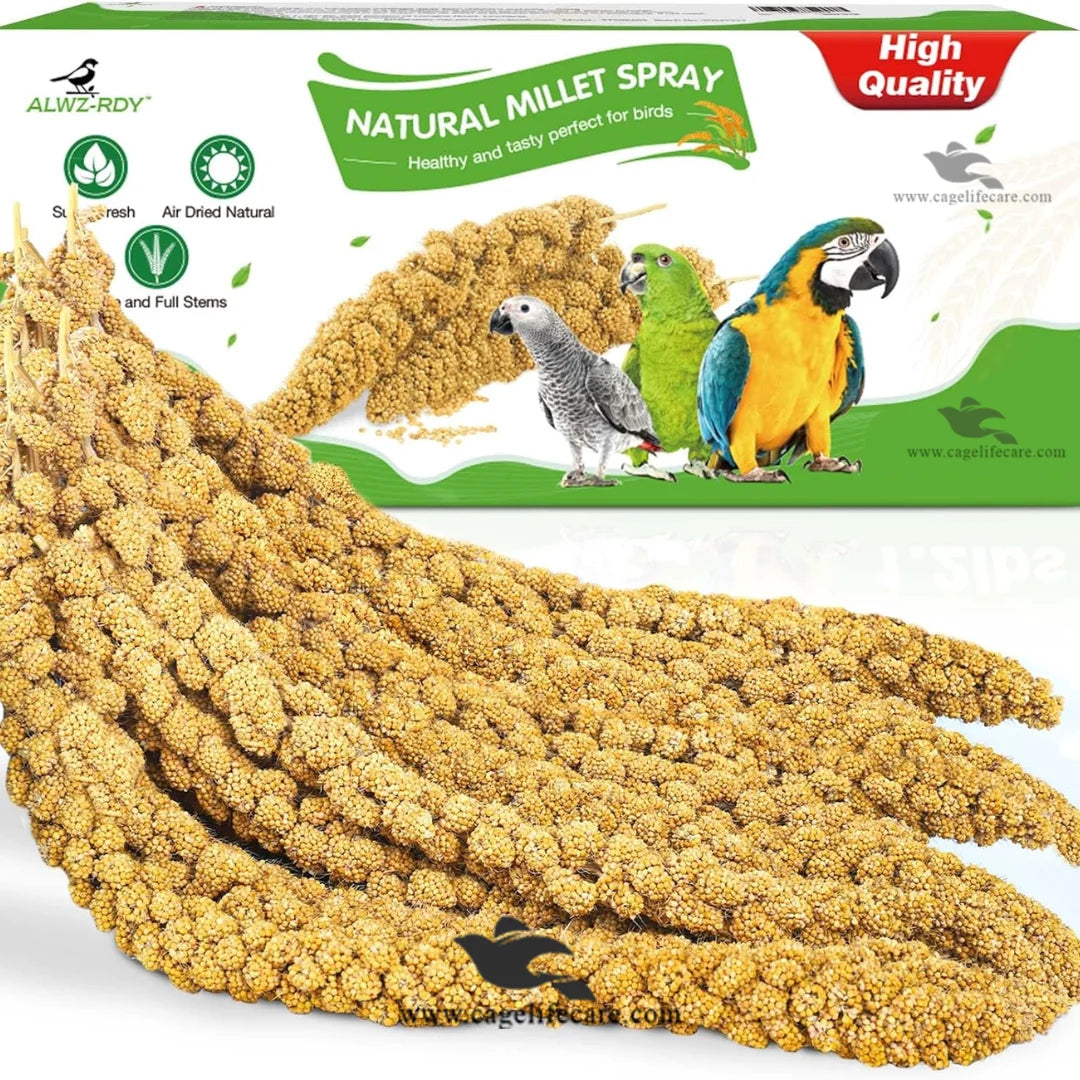 Millet Spray Seeds for Birds – Premium Natural Treat