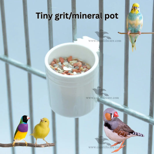 Minerals and Treat Tiny White Pot for Small Birds ( Italy )