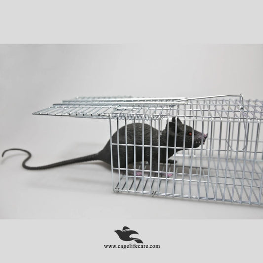 Mouse Trap Cage for Mice & Rats
