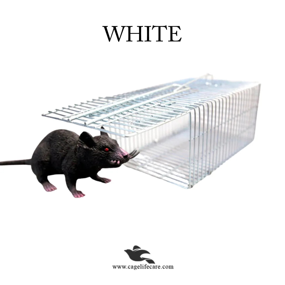 Mouse Trap Cage for Mice & Rats
