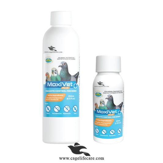 Moxivet Plus – Advanced Parasite Control for Birds