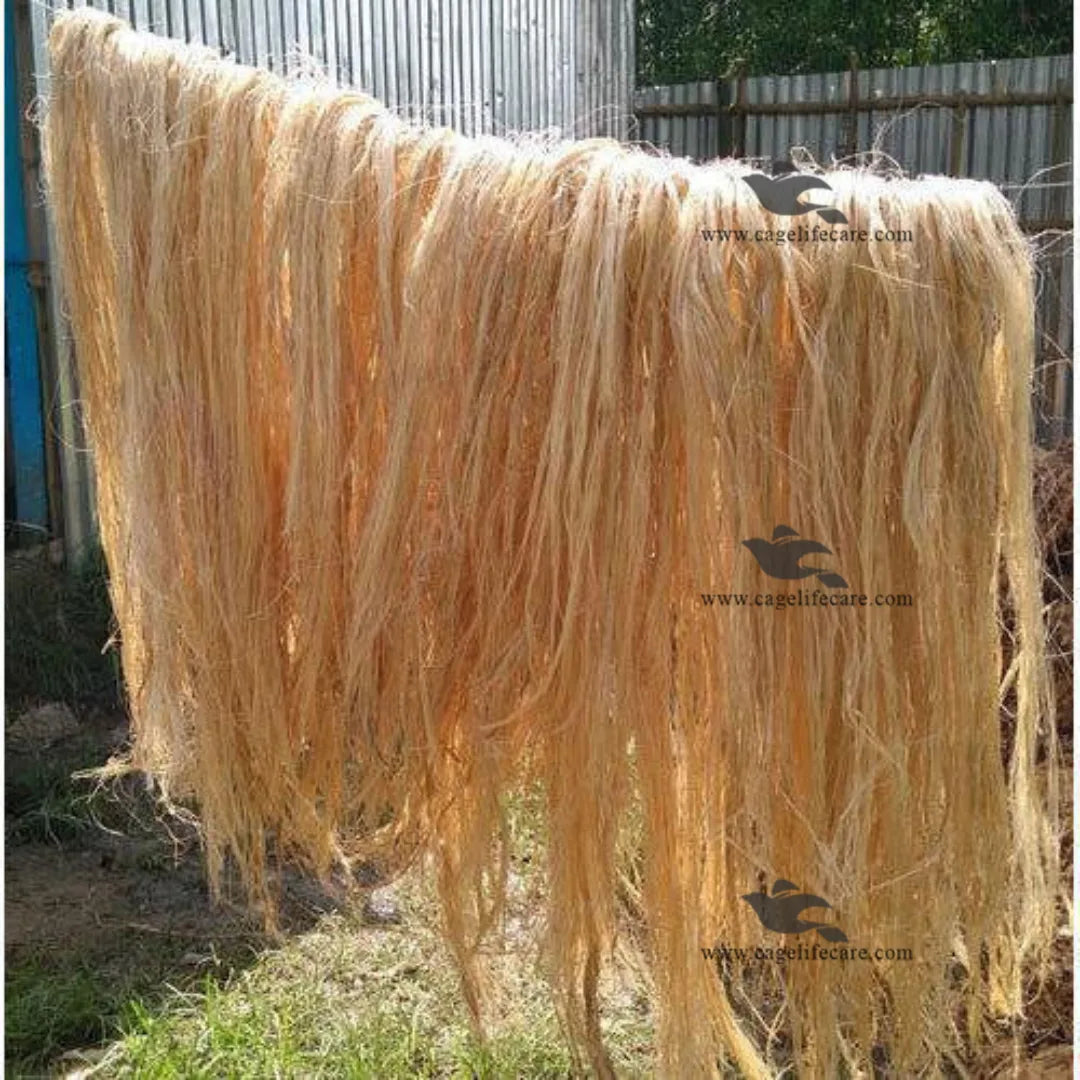 Munj Nesting Material – 2kg Natural Fiber Nesting Bundle