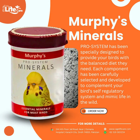 Murphys Minerals – Pro System Minerals for Birds
