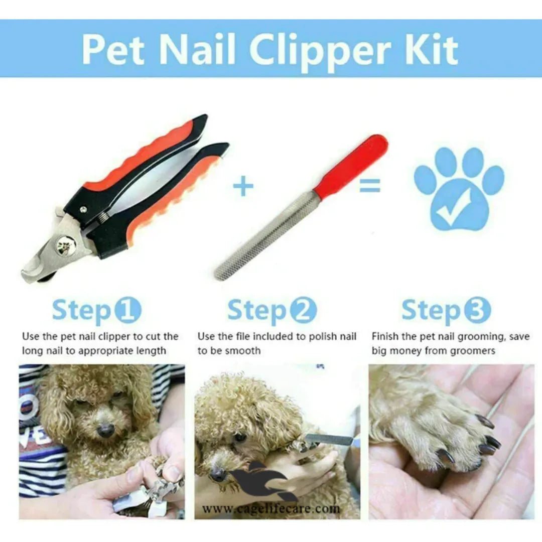 Nail Clipper/Cutter with Foiler for Cats & Dogs – Stainless Steel Grooming Tool