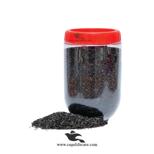 Niger Seed – Oily Fatty Seeds for Birds