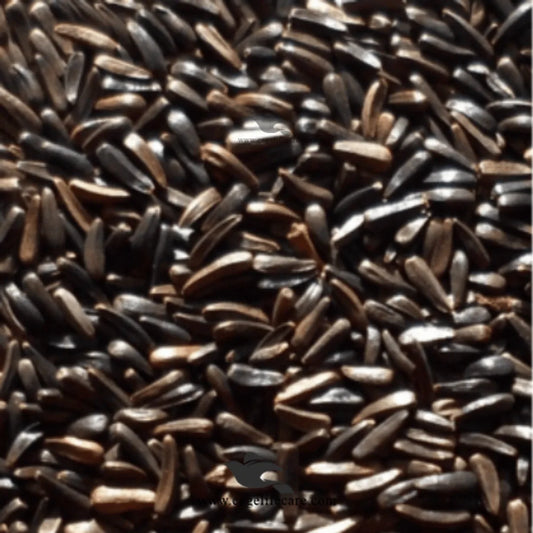 Niger Seed – Oily Fatty Seeds for Birds