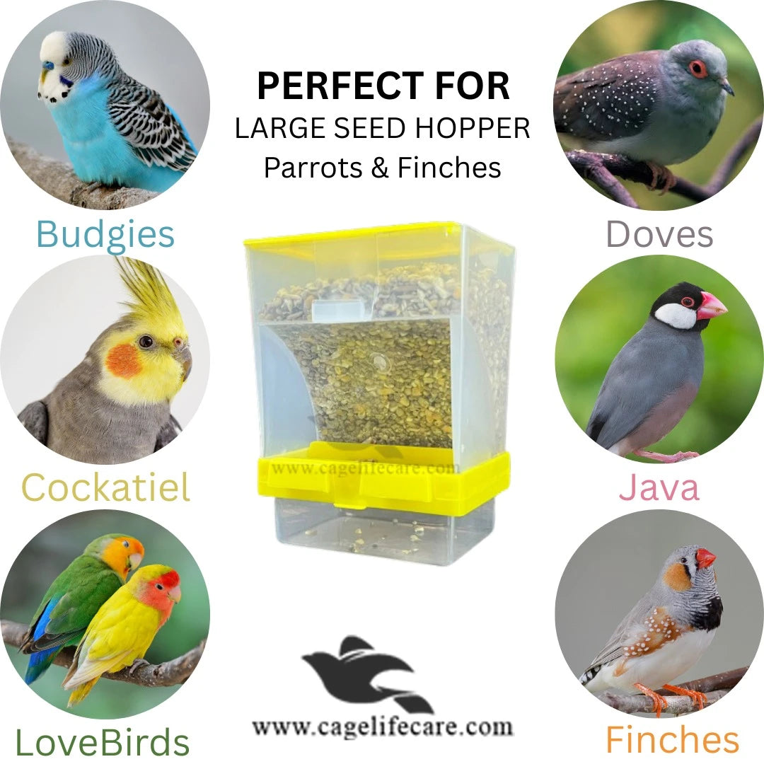 No Mess Seed Hopper For Parrots & Other Birds