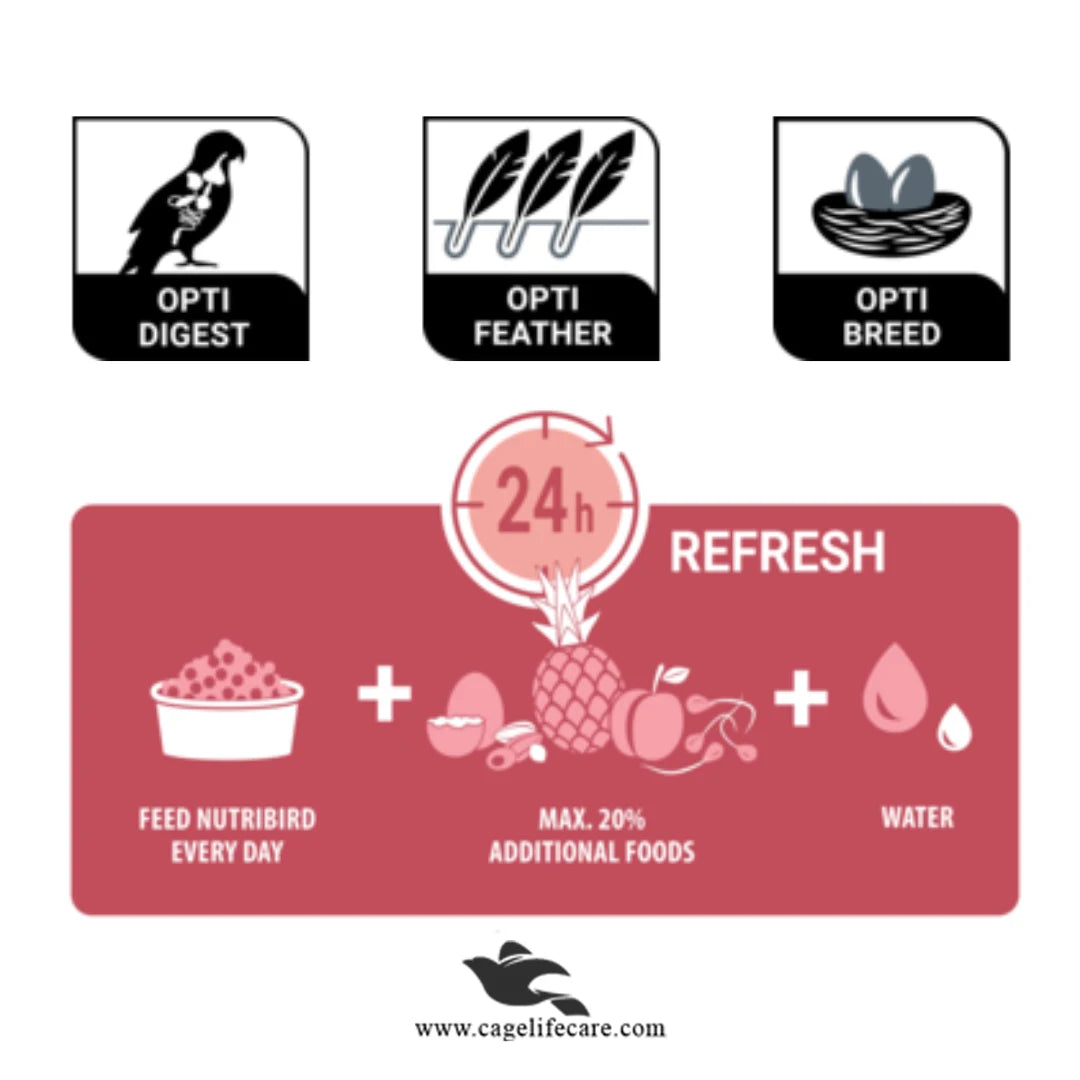 NutriBird B-18 Breeding Food for Budgies & Small Parakeets