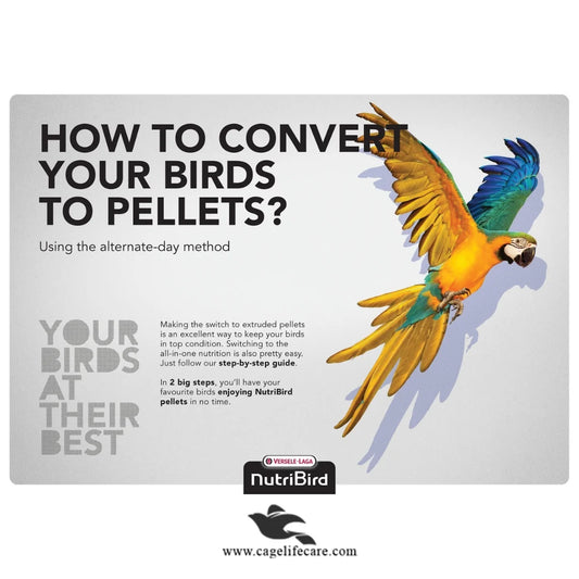 NutriBird B-18 Breeding Food for Budgies & Small Parakeets