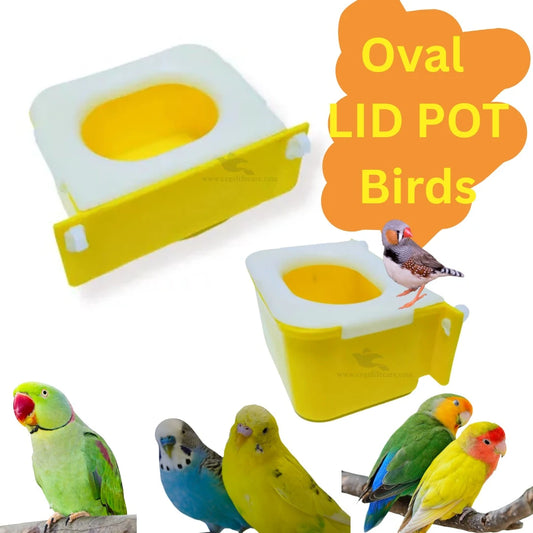 Oval Lid Pots for Lovebirds & Other Seed-Wasting Birds