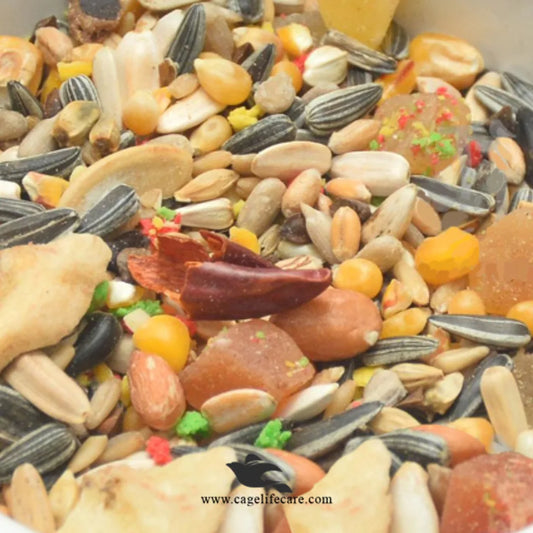 Parrot Seed with Fruits Mix – Belgium Premium Blend