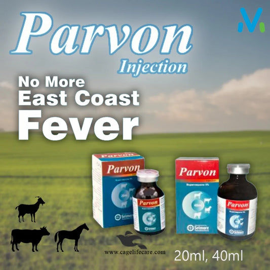 Anti-theileriosis injection for livestock.