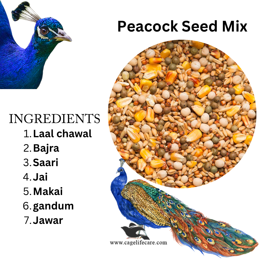 Peacock Seed Mix