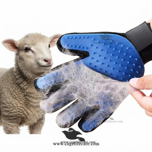 Animal grooming glove for sheep goats cattle and horses