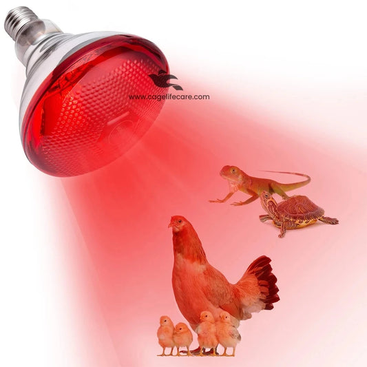 Pet Infrared Waterproof Heating Light Bulb - Fast Recovery