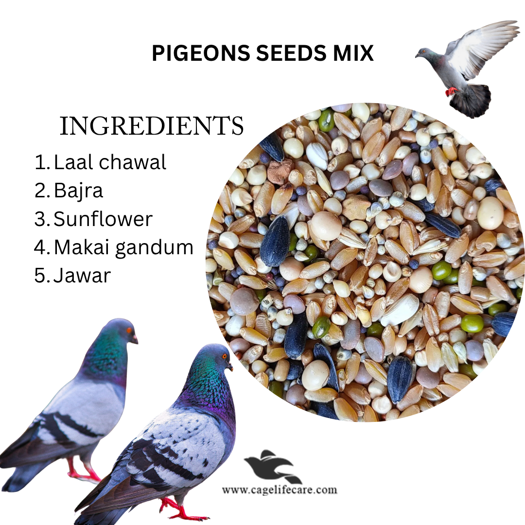 Pigeons Seeds Mix