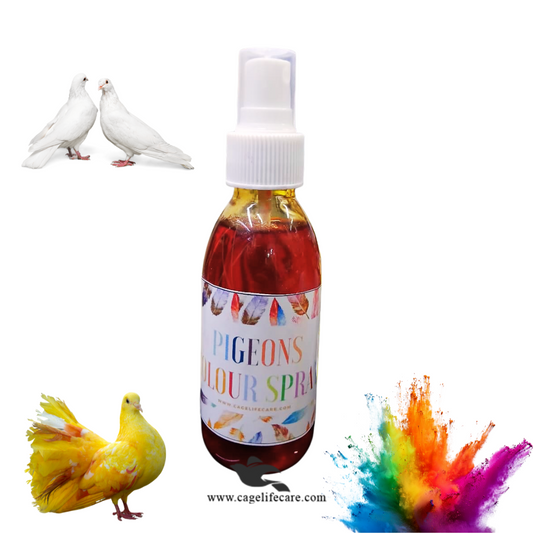 Pigeon color marking spray bottle 120ml by Cage Life Care