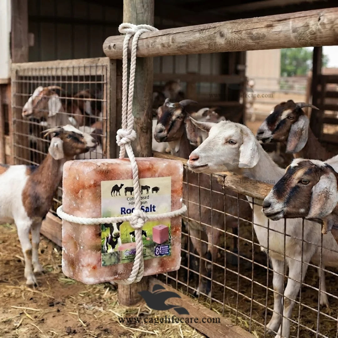 Natural mineral salt block for dairy cattle and livestock