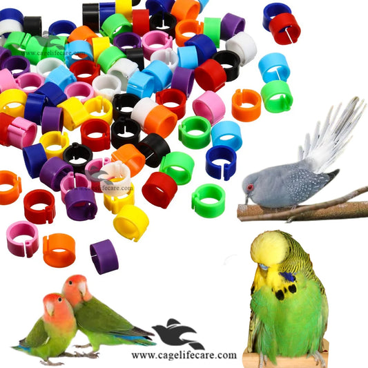 Plastic Cut Rings for Doves, Budgies & Lovebirds – 4mm (Imported)