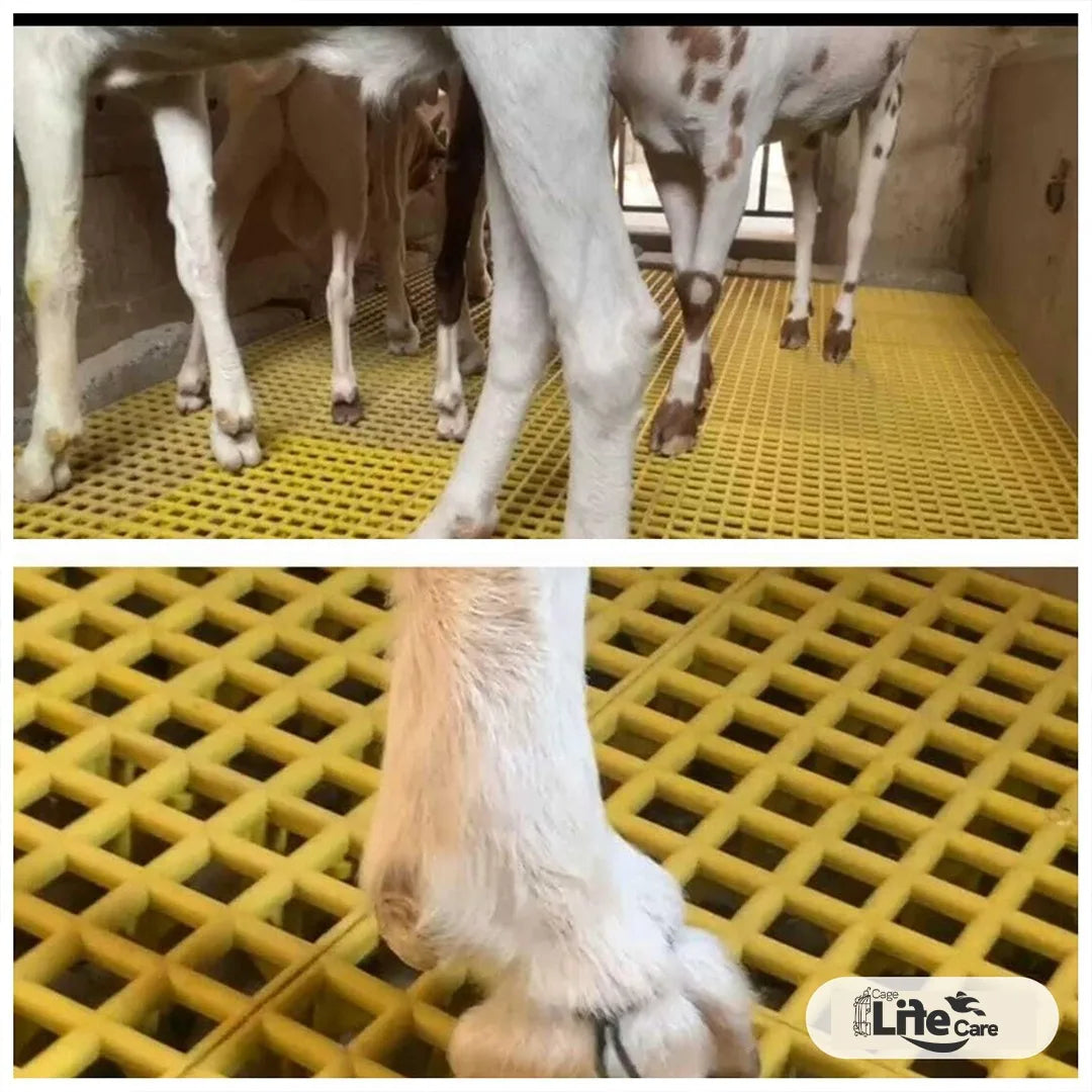 Plastic Flooring Panels – 1x1 Square Feet, Hygienic & Interlocking for Animals and Birds - best for goat housing and farming review by customer yellow plastic flooring