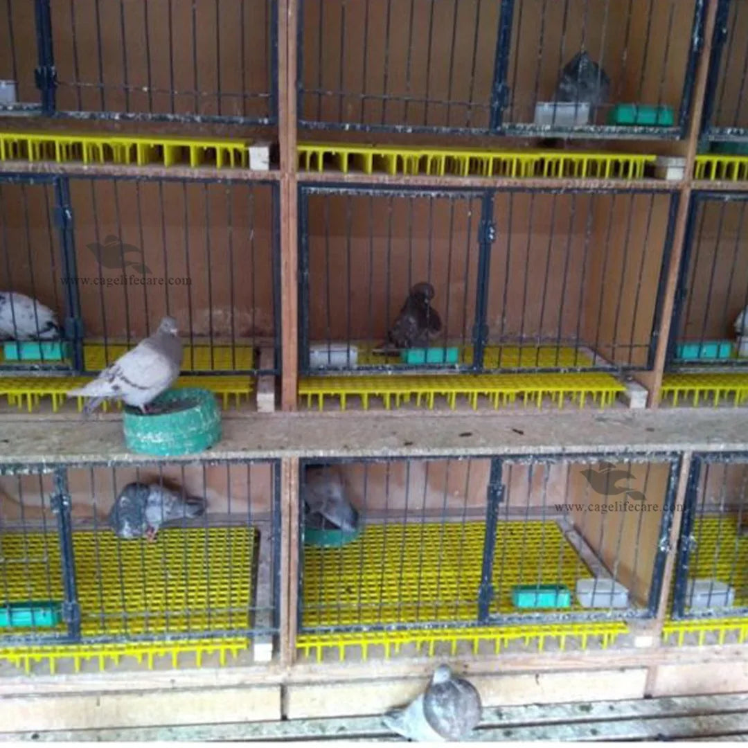 Plastic Flooring Panels – 1x1 Square Feet, Hygienic & Interlocking for Animals and Birds best for pigeons breeding unit