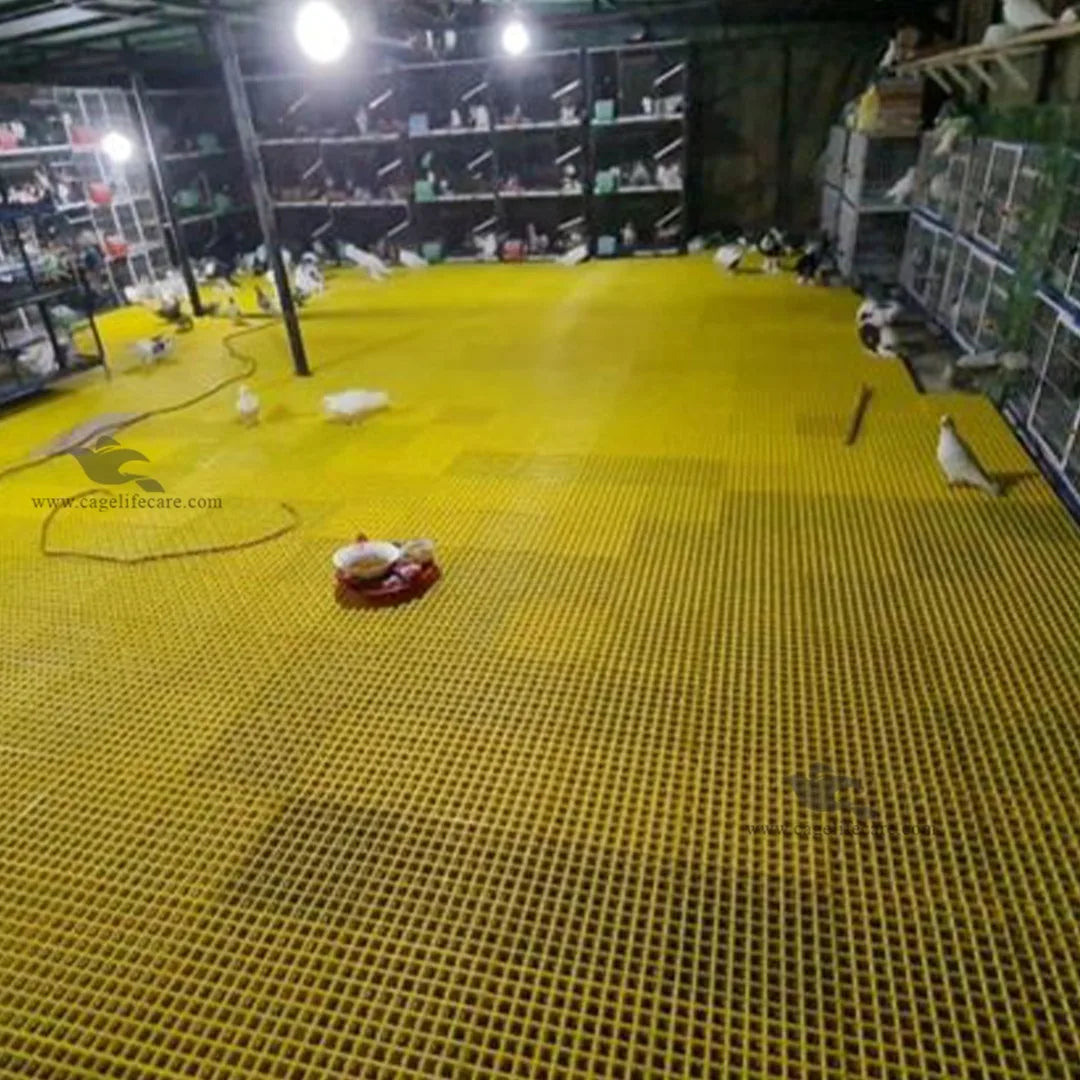 Plastic Flooring Panels – 1x1 Square Feet, Hygienic & Interlocking for Animals and Birds