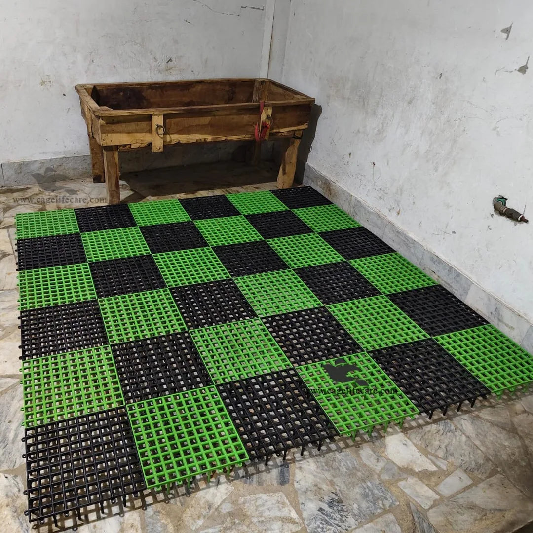 Plastic Flooring Panels – 1x1 Square Feet, Hygienic & Interlocking for Animals and Birds green and black combination