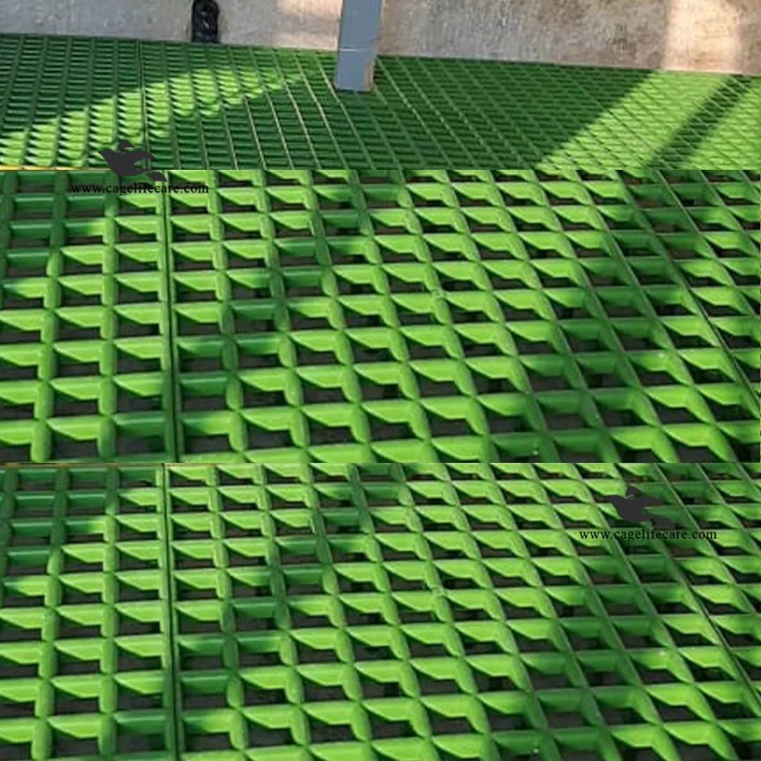 Plastic Flooring Panels – 1x1 Square Feet, Hygienic & Interlocking for Animals and Birds Full Green