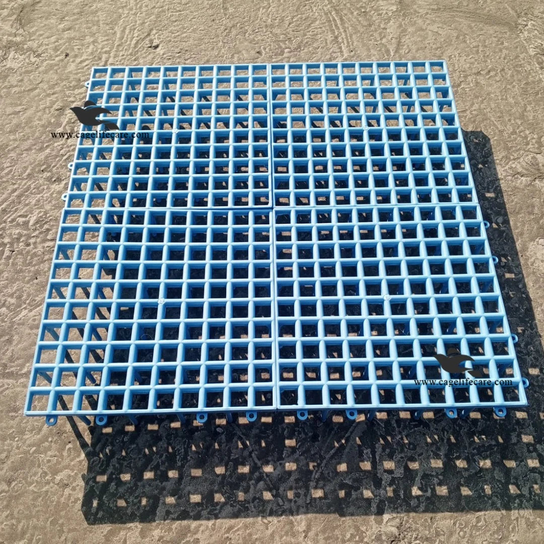 Plastic Flooring Panels – 1x1 Square Feet, Hygienic & Interlocking for Animals and Birds Blue Color for Livestock