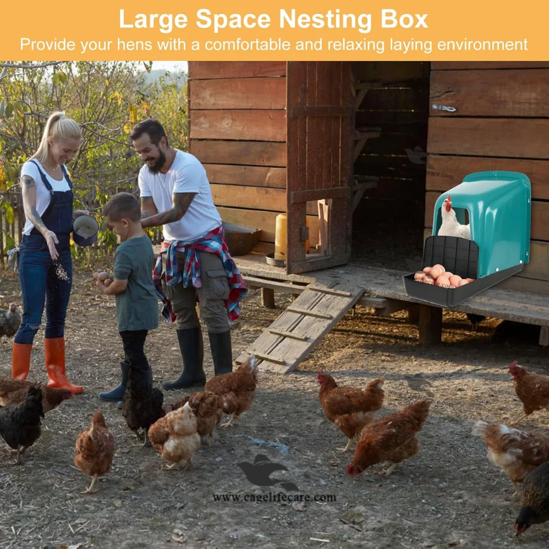 poultry egg laying nest box single wall mounted chicken nest