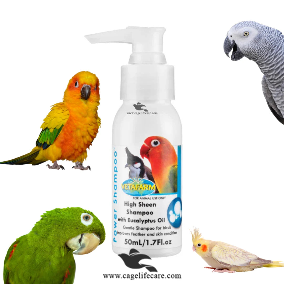 Power Shampoo – Enhance Feather and Skin Condition for all birds and pet birds parrots shampoo