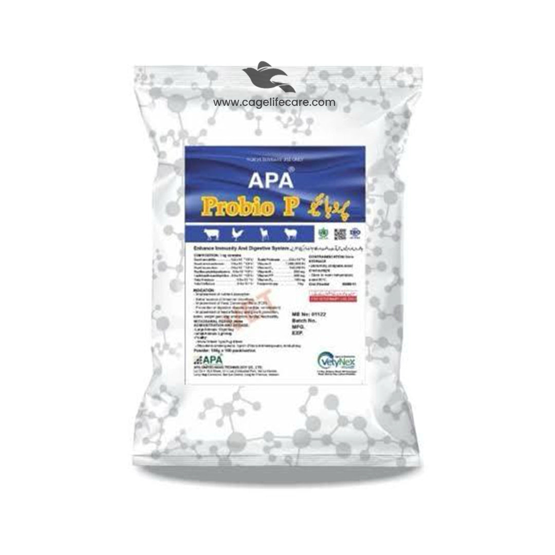 Probio P – Enhance Immunity & Digestive Health