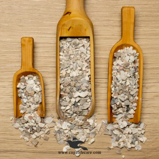 Psittacus Calcium Grit Coarse – For Medium & Large Birds