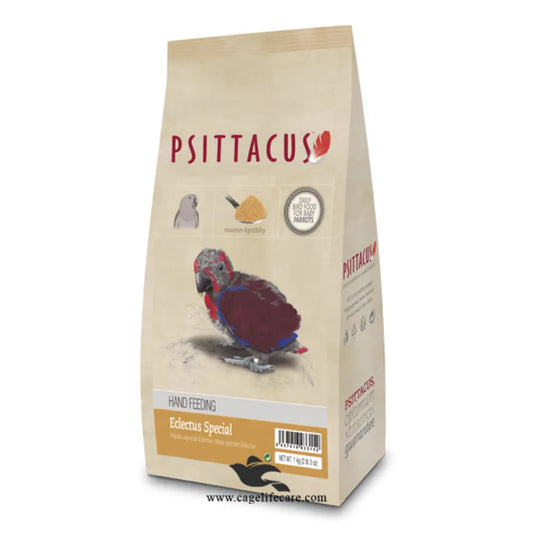 psittacus eclectus hand feeding formula pakistan