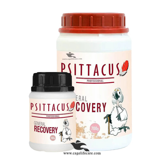 Psittacus General Recovery – Nutritional Support for Sick or Injured Birds