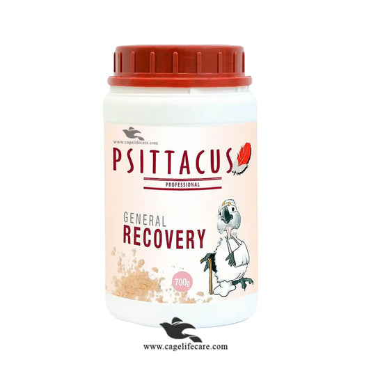 Psittacus General Recovery – Nutritional Support for Sick or Injured Birds